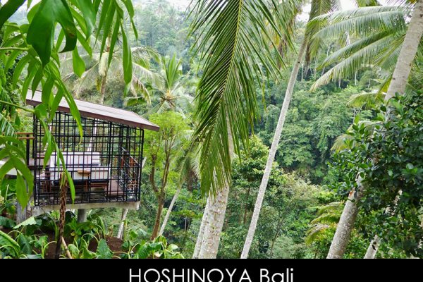 Luxury Hotels - Hoshinoya Bali